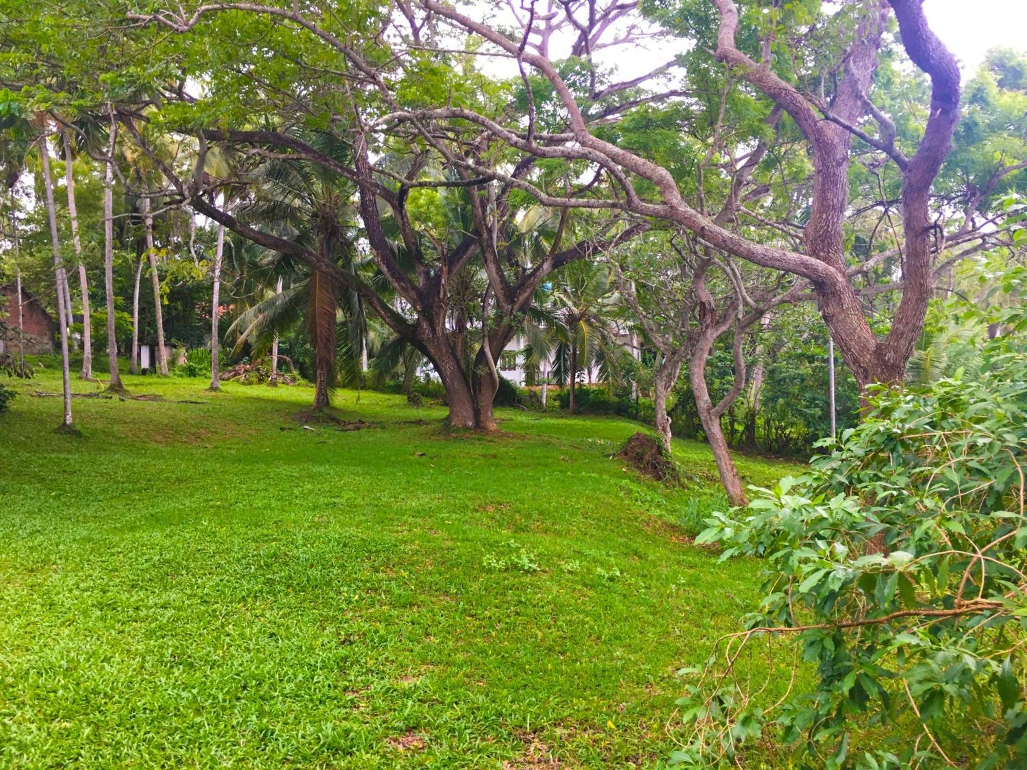 Bluewind Resort Tangalle Exterior photo
